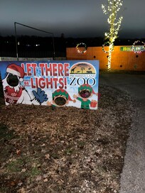 Let their be light🎄