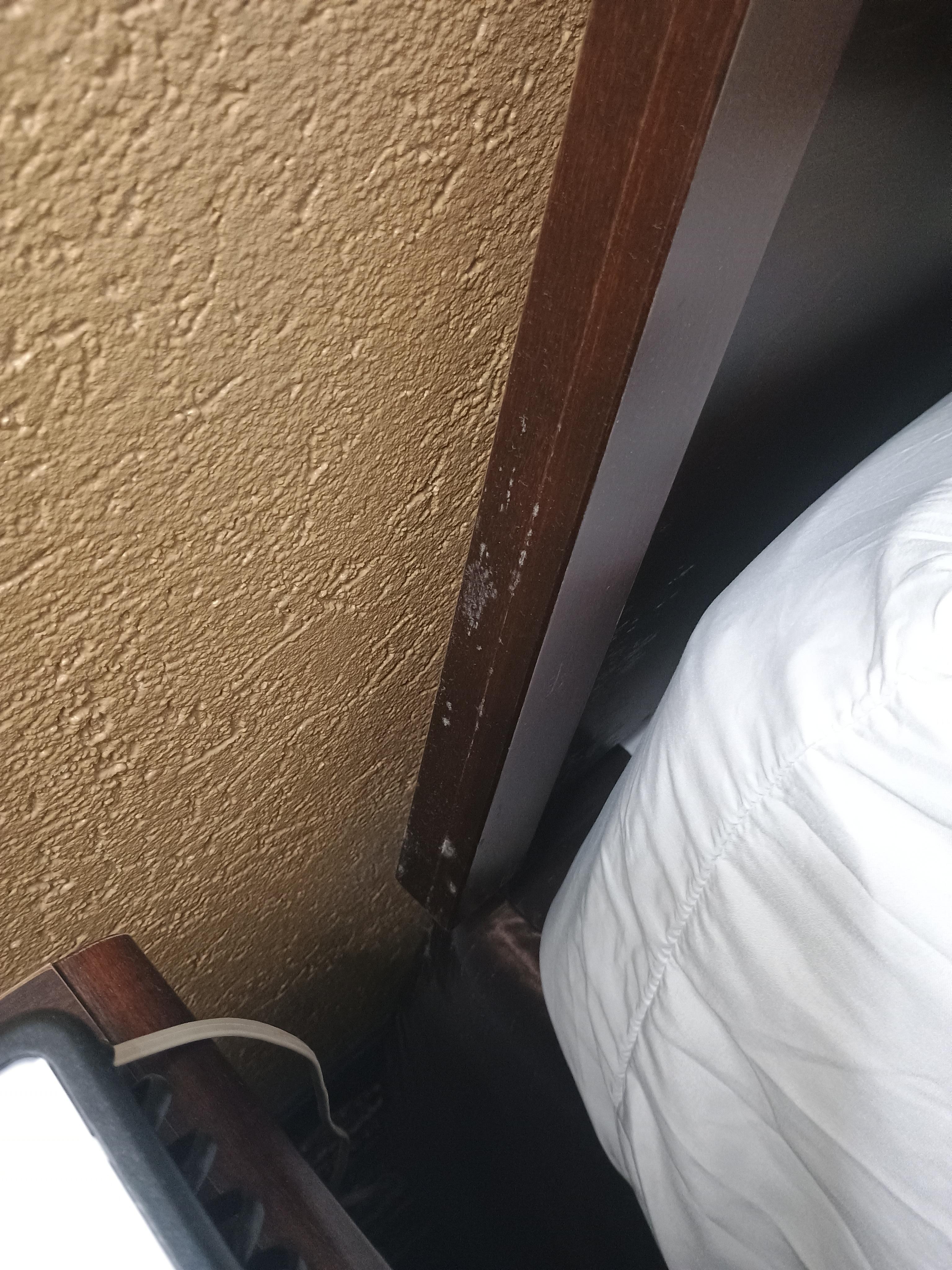 Mold