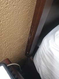 Mold