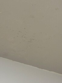 Mold on ceiling