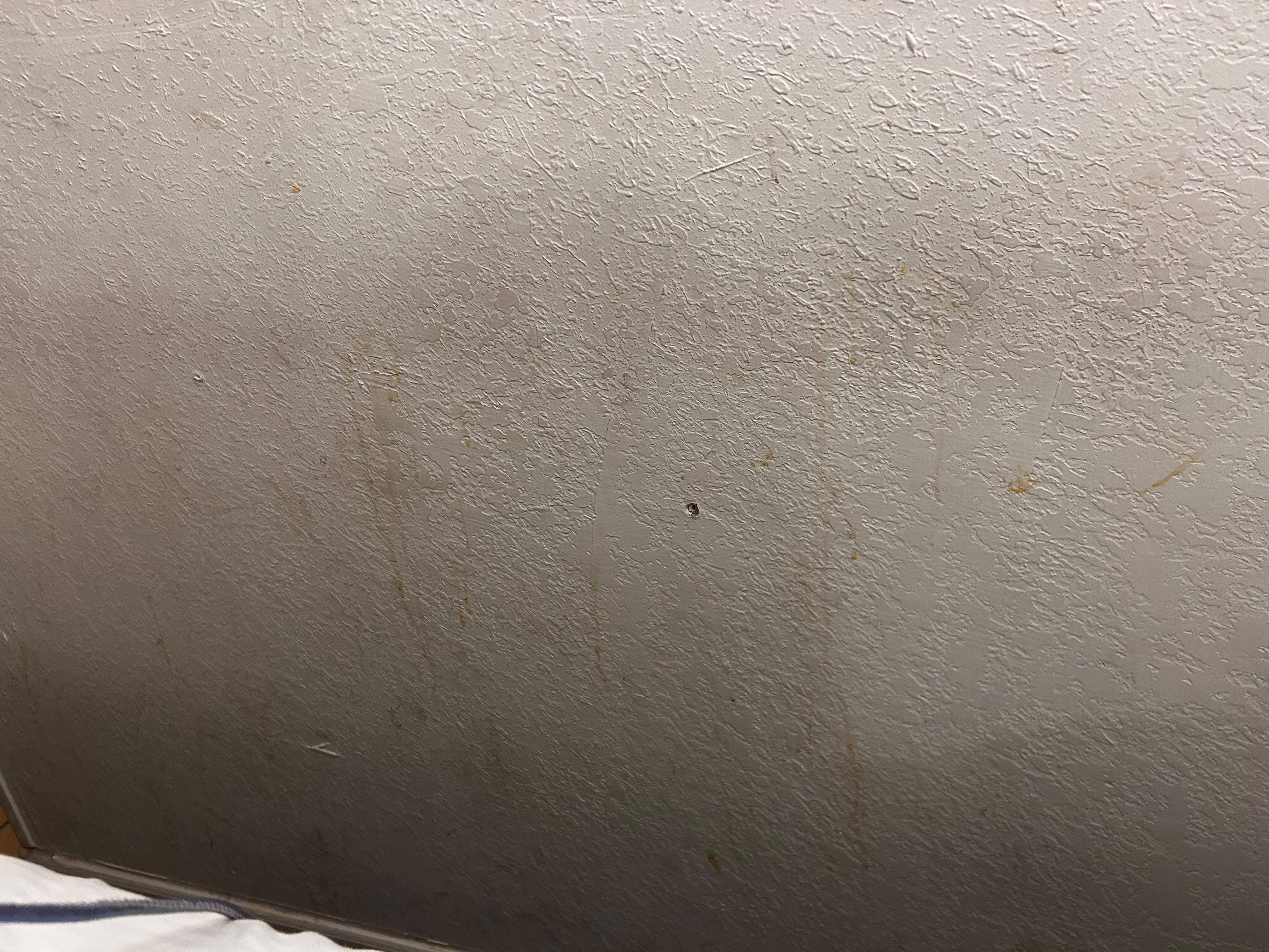 The wall I woke up staring at , directly to the side of the bed. 