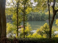 View from the patio.