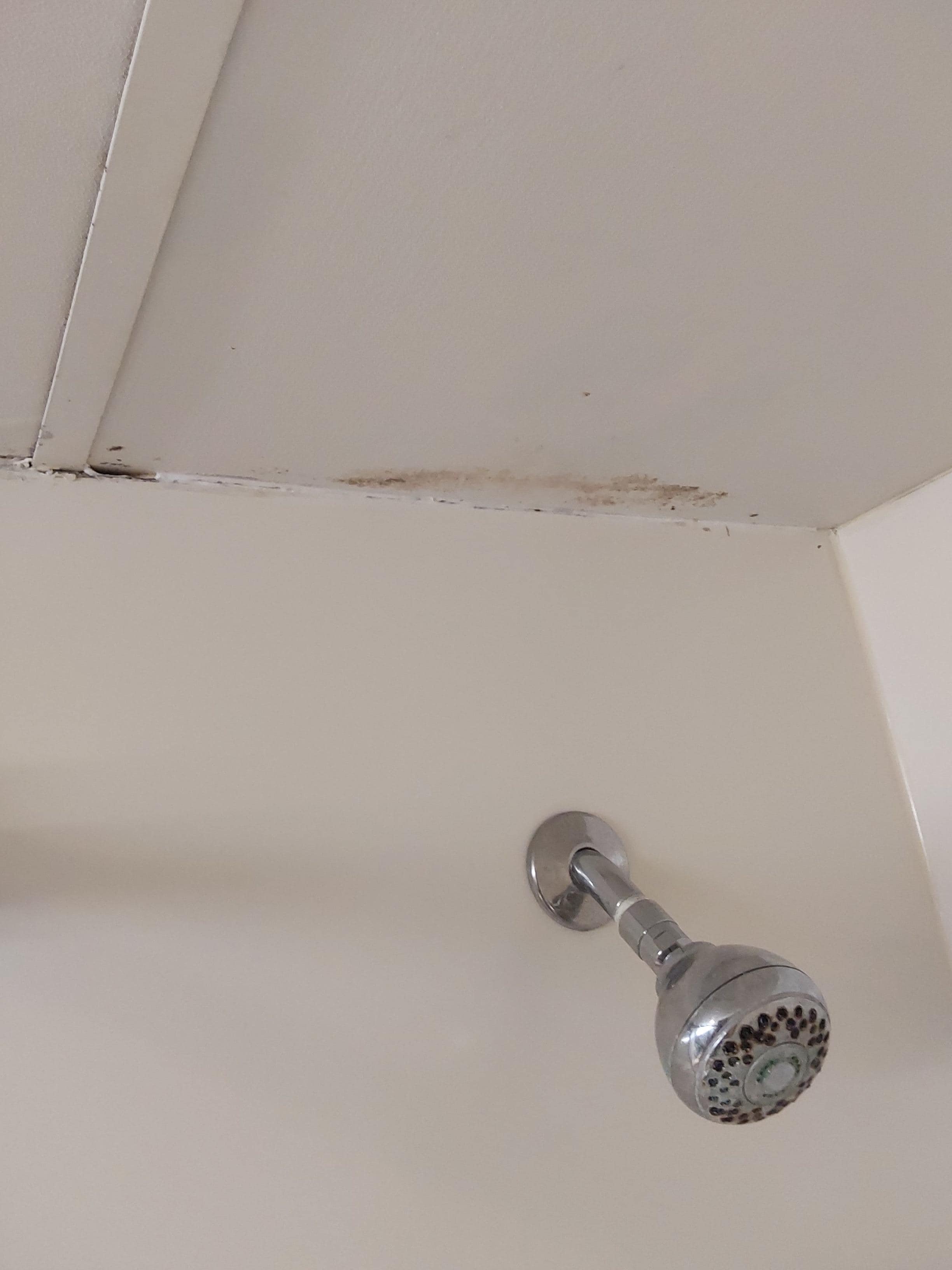 Mold over shower. Seemed like vent wasn't working.