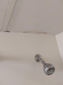 Mold over shower. Seemed like vent wasn't working.