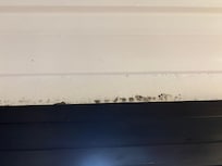 Mold othe walls an woodwork