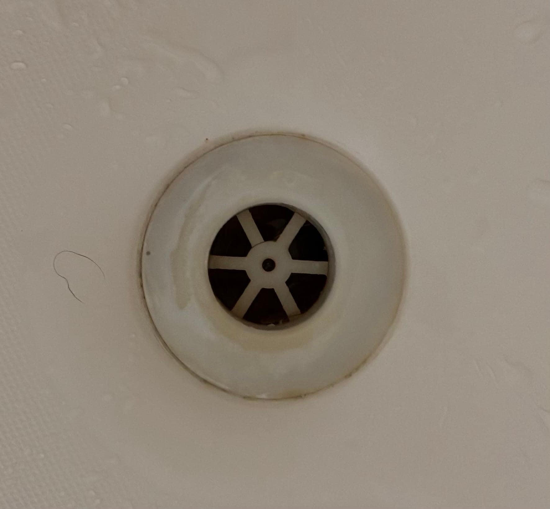 Shower drain painted