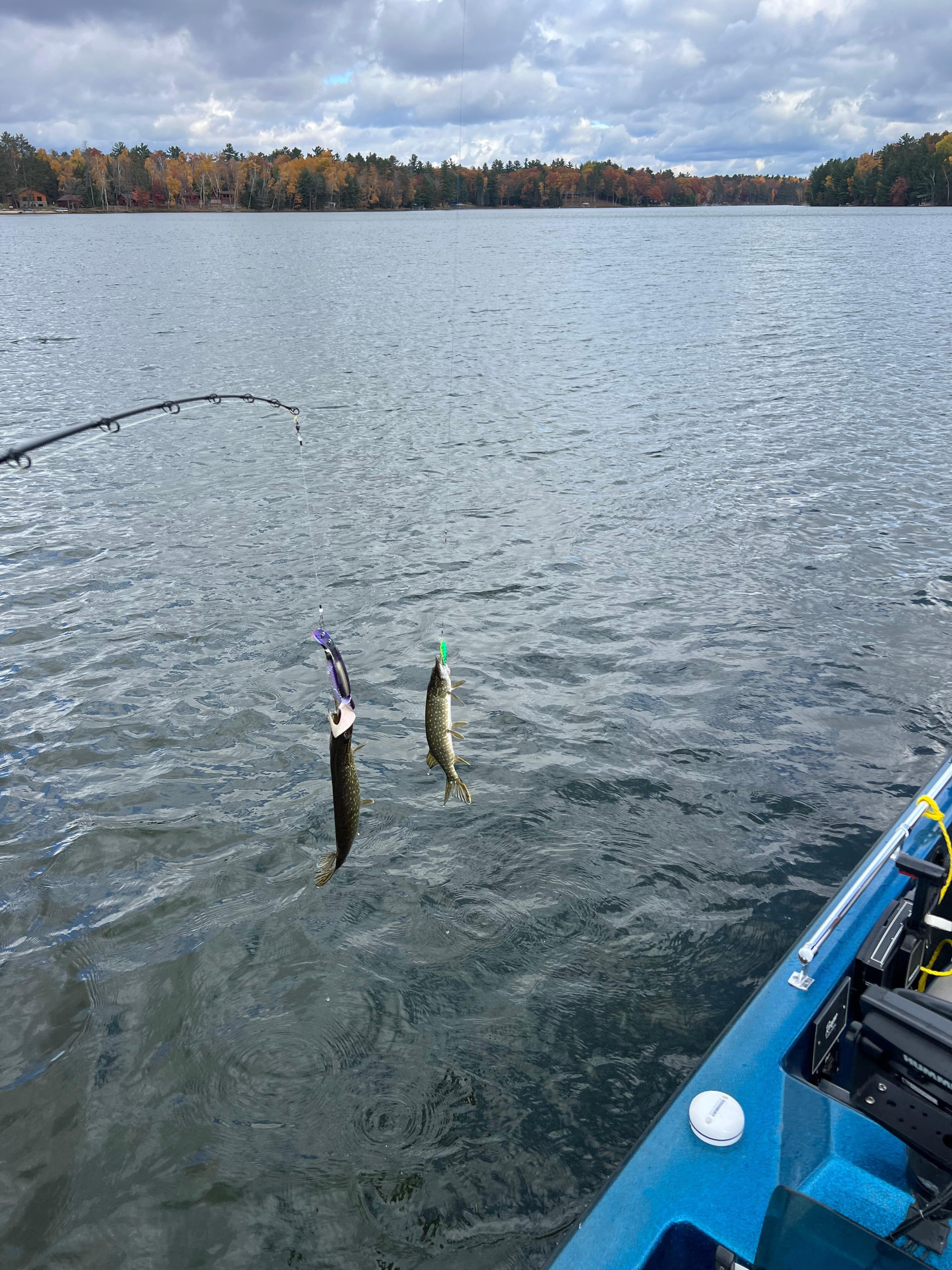 Wife and I caught fish at the same time. Twice. 5 minutes apart. 