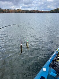 Wife and I caught fish at the same time. Twice. 5 minutes apart.
