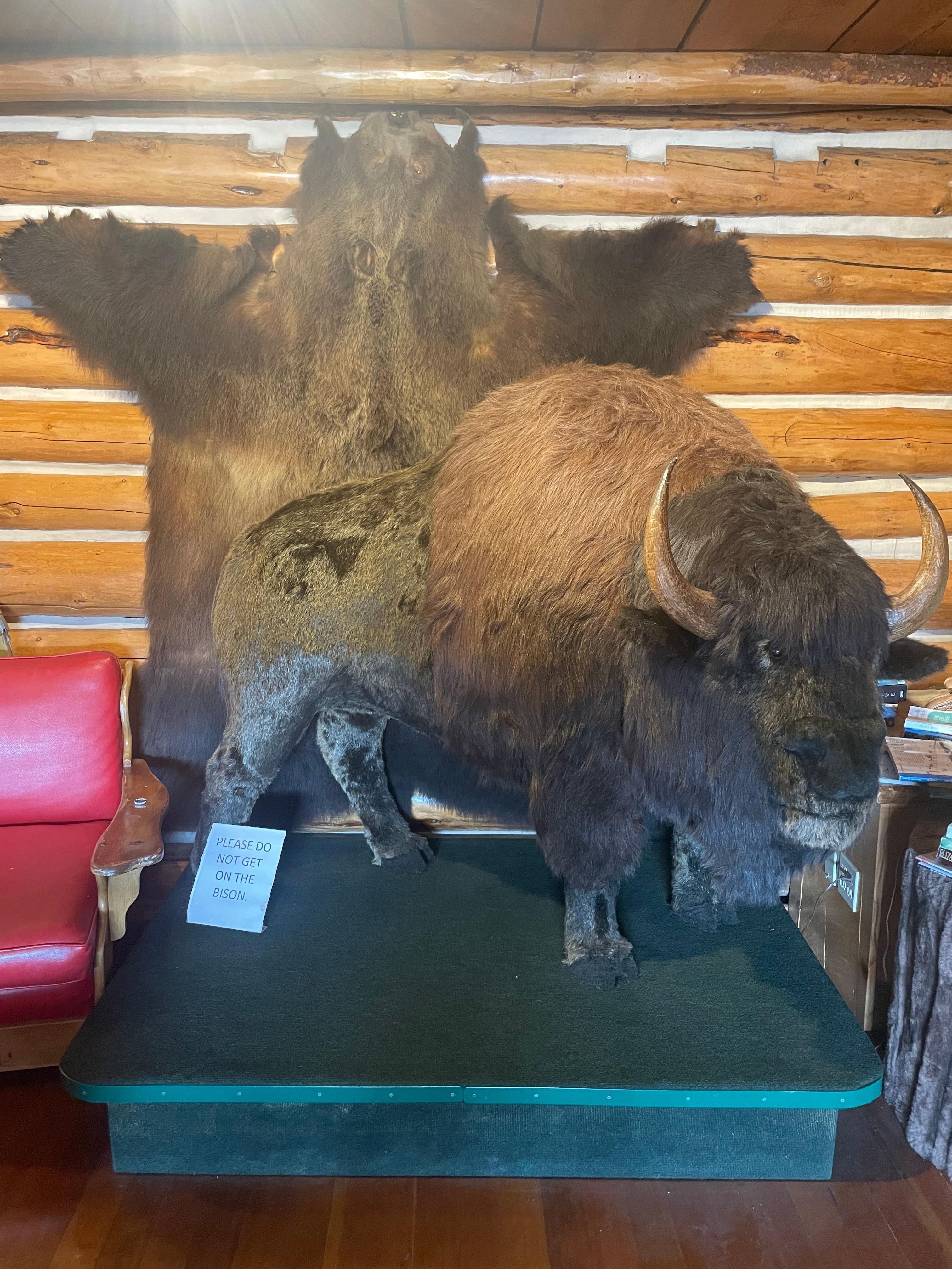 Amazing and comfortable lobby to sit in, and great gift shop.