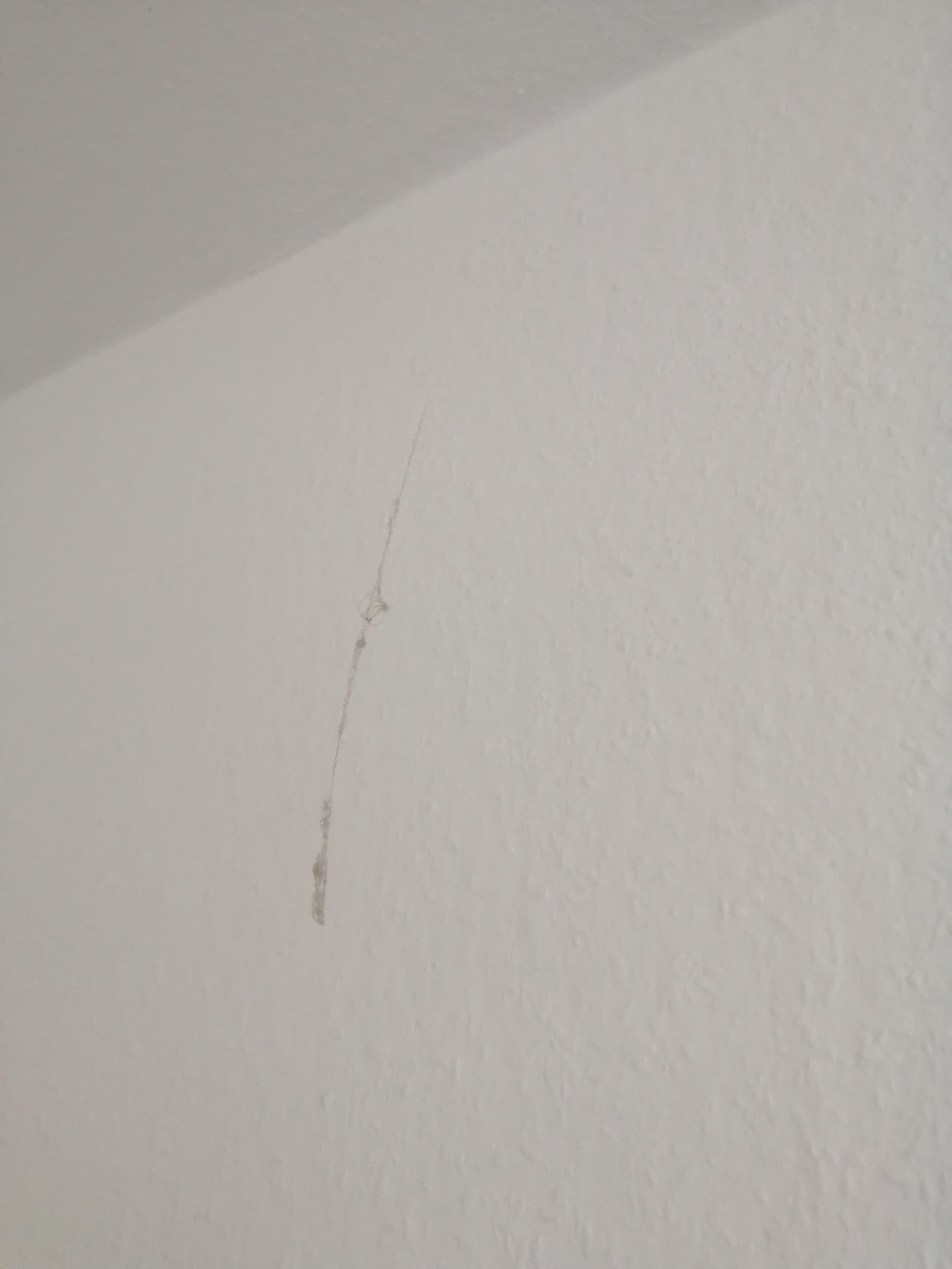 Spinnenweben Fäden in der Küche. 