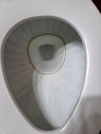 Unclean toilet.