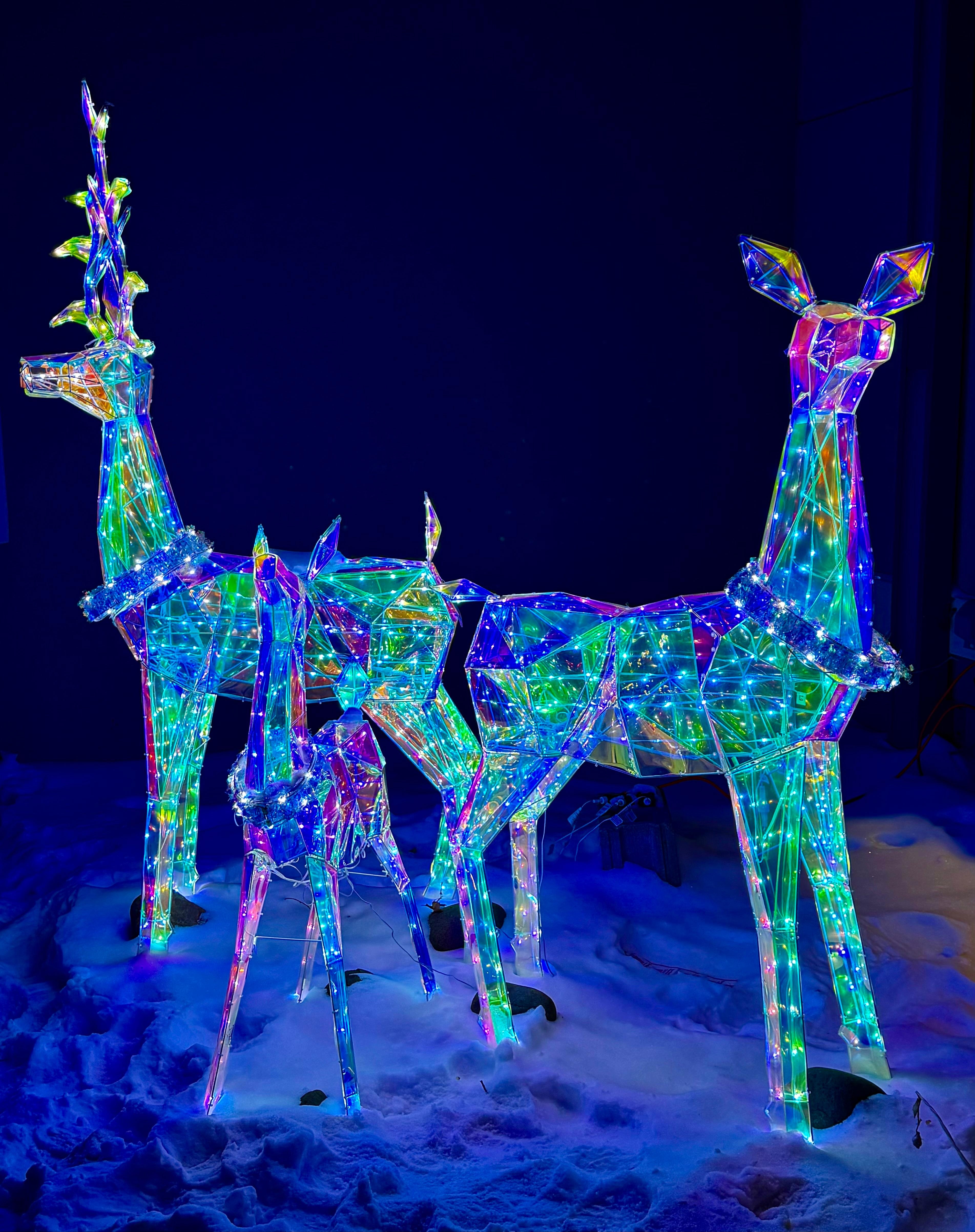 Love the outside decorations. The inside Christmas tree was nice. 