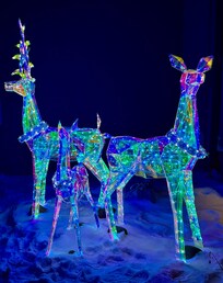 Love the outside decorations. The inside Christmas tree was nice.