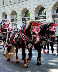 Oktoberfest parades