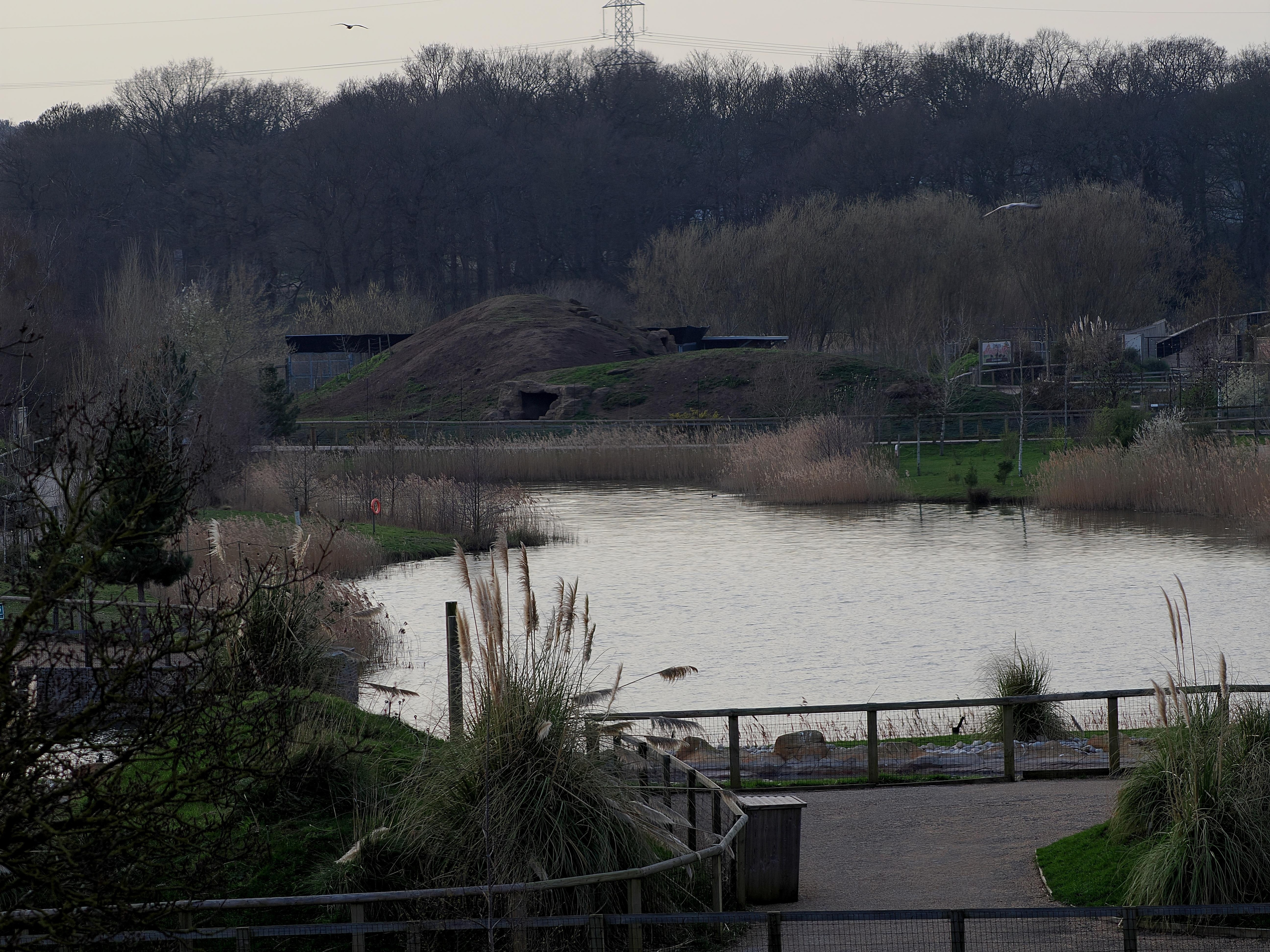 View from our window park side.  We could see Tapir and bush dogs.