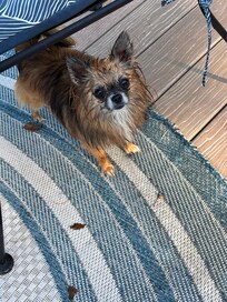 After being squirted with the hose while watering flowers