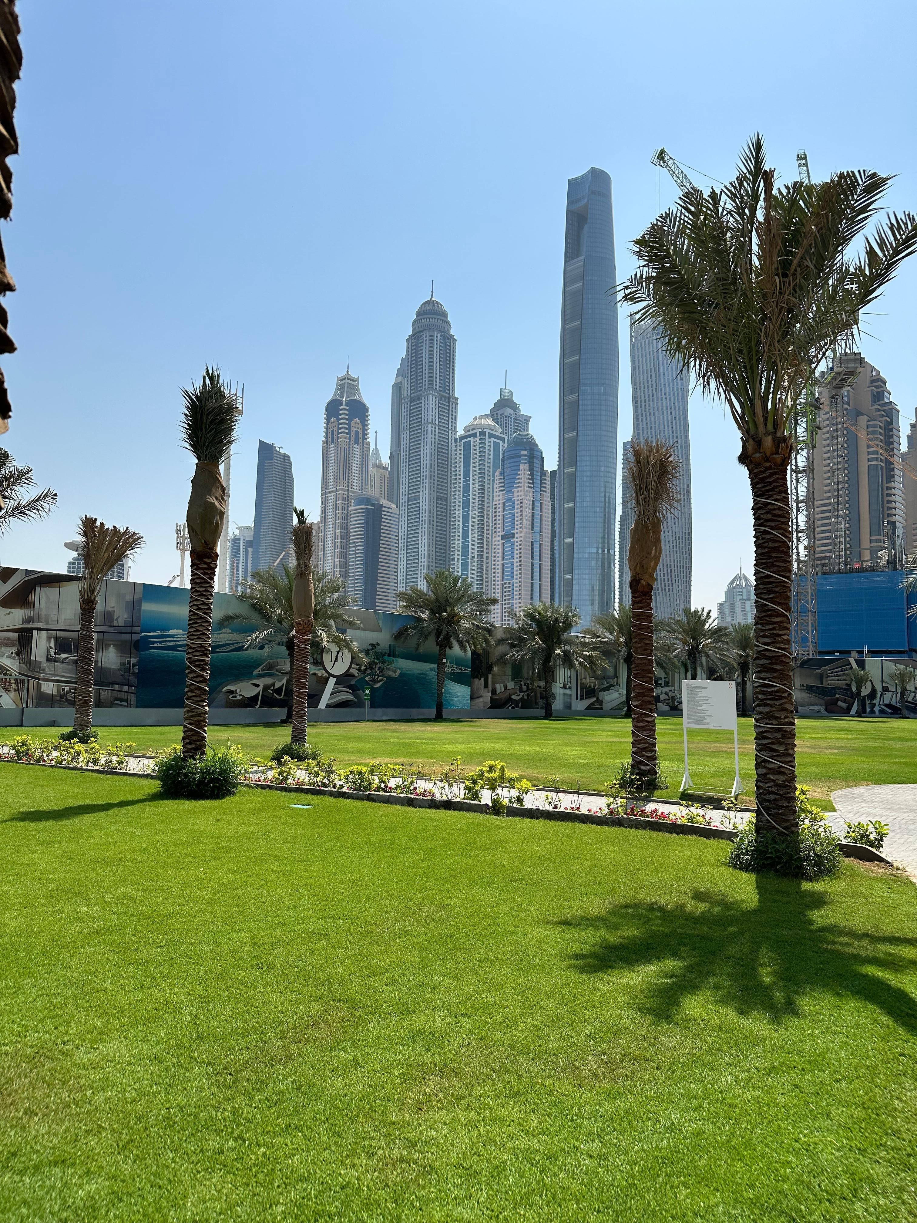 View from the hotel beach 