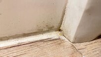 bathroom floor/wall