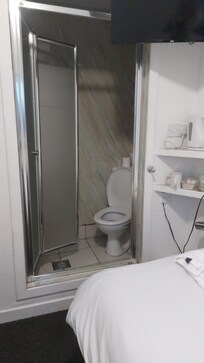 Toilet in a shower