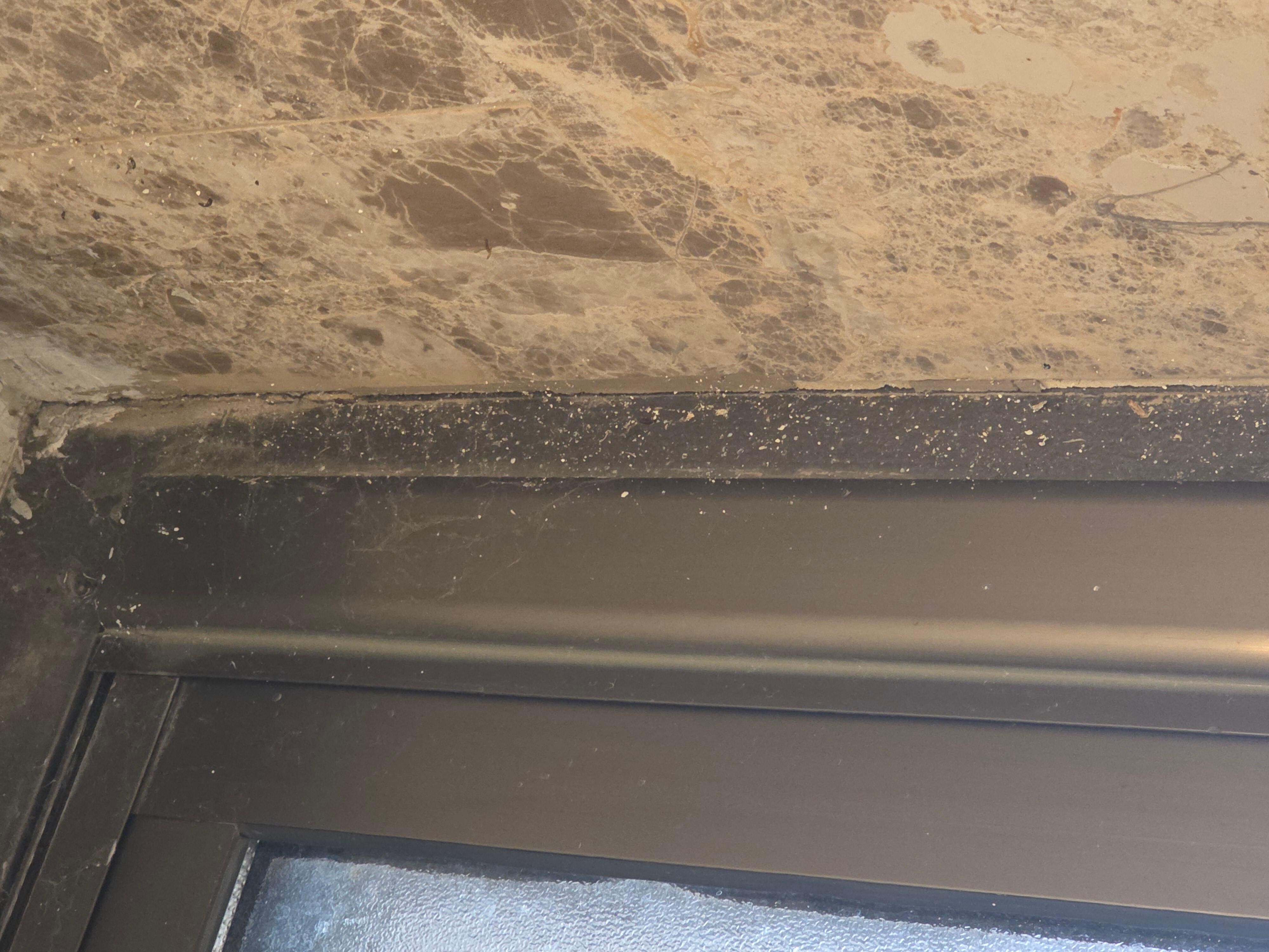 Paredes del baño con telaraña. 