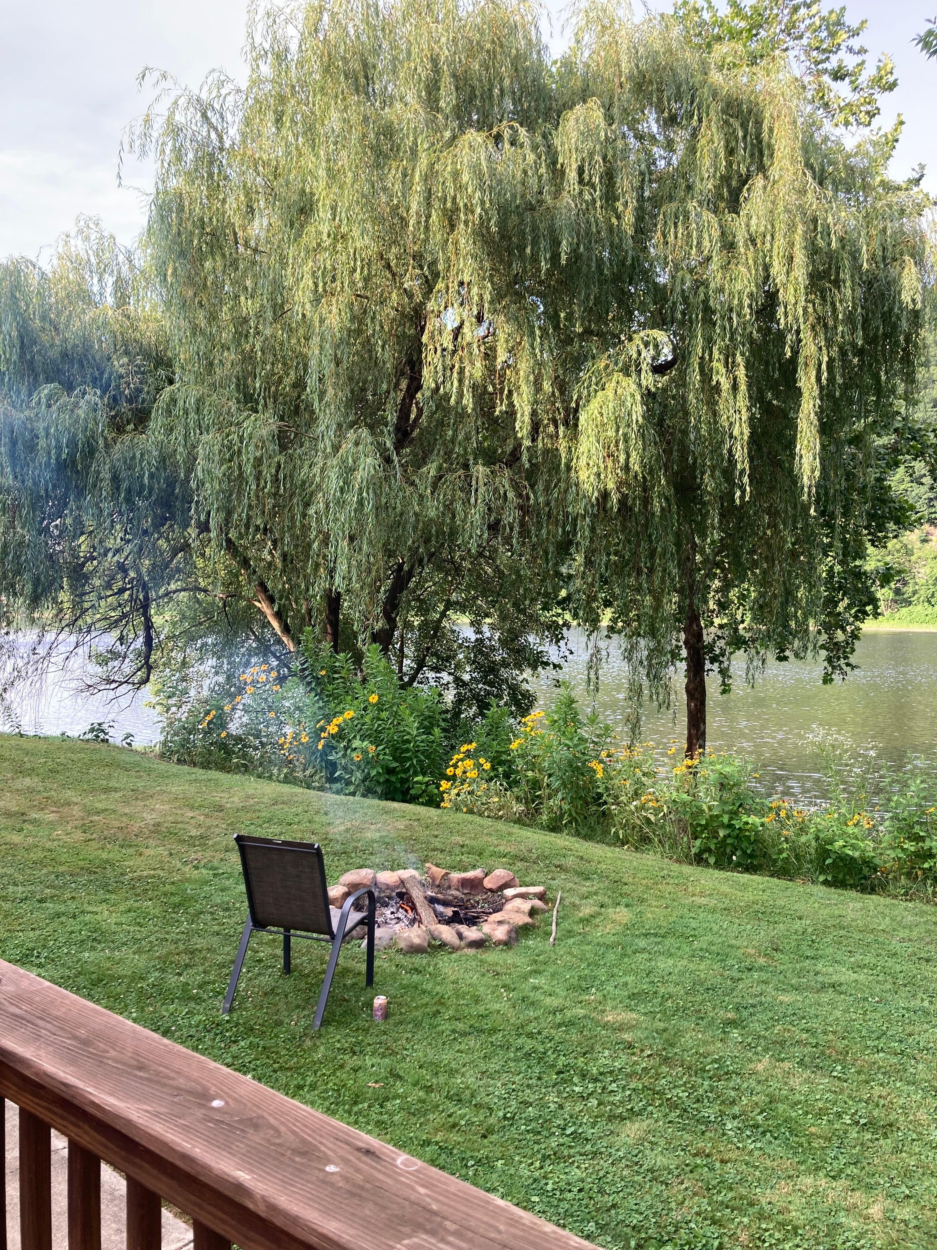 Peaceful river views