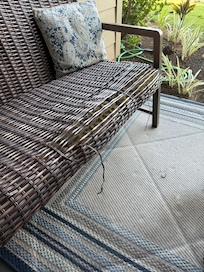 Patio Furniture unusable