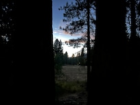 Evening with crickets