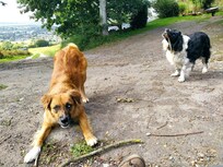 The guardians Tes and Meg