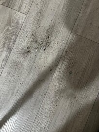 The floor after I swept.