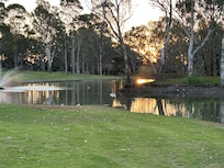 Dam and fountain with abundant wildlife