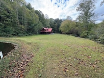 Huge yard would like and stream running through