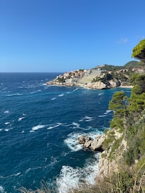 View from street level