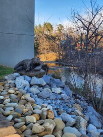 Bear friend beside the patio