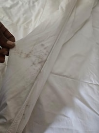 Mold on our comforter