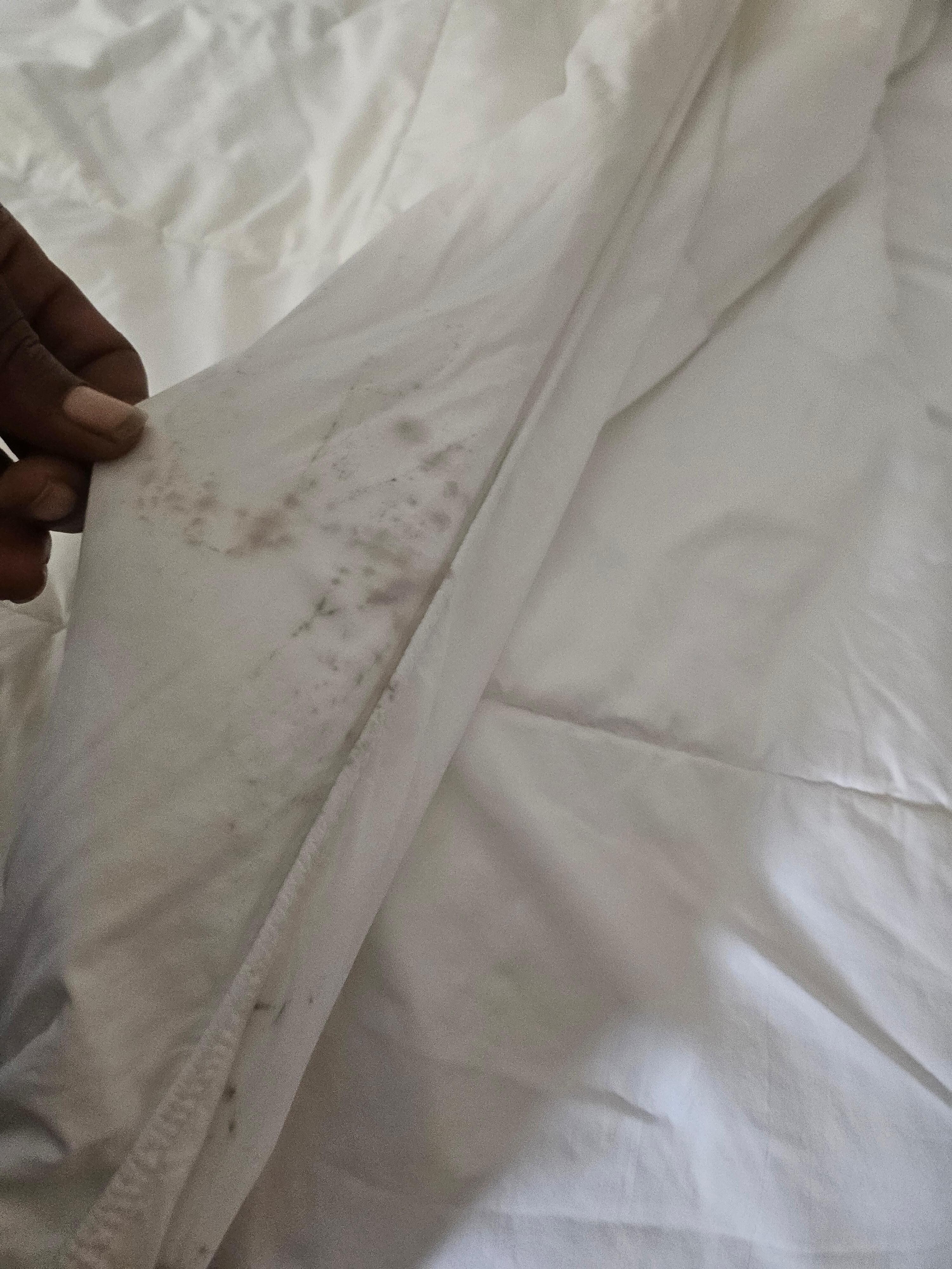 Mold on our comforter 