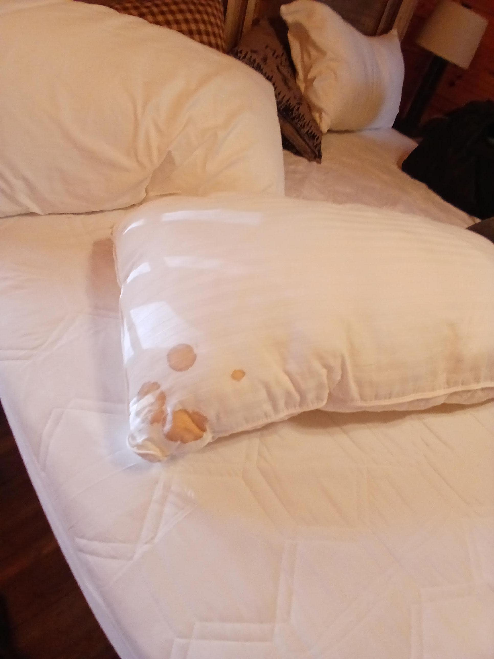 Stains found on pillow after removing pillowcase to wash.