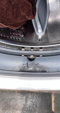 Mold in washer