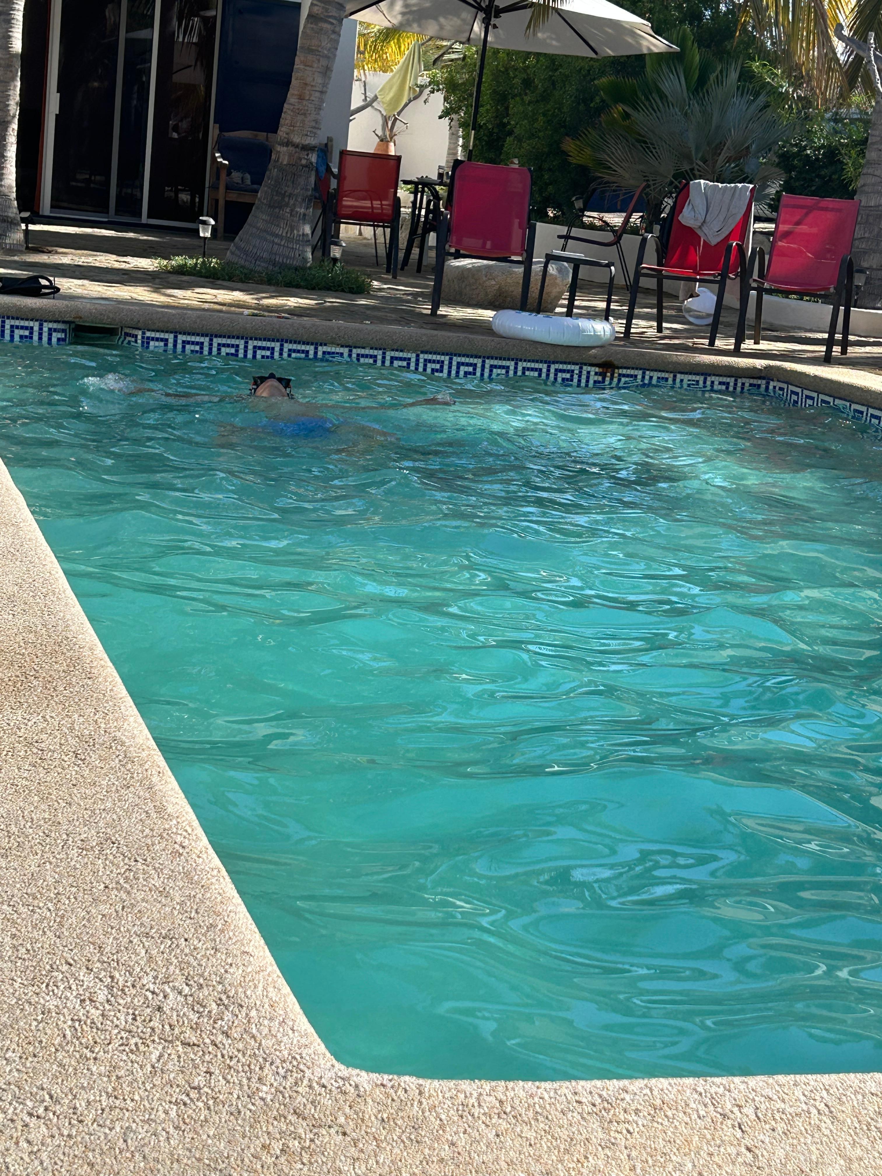 The pool and the house in the day