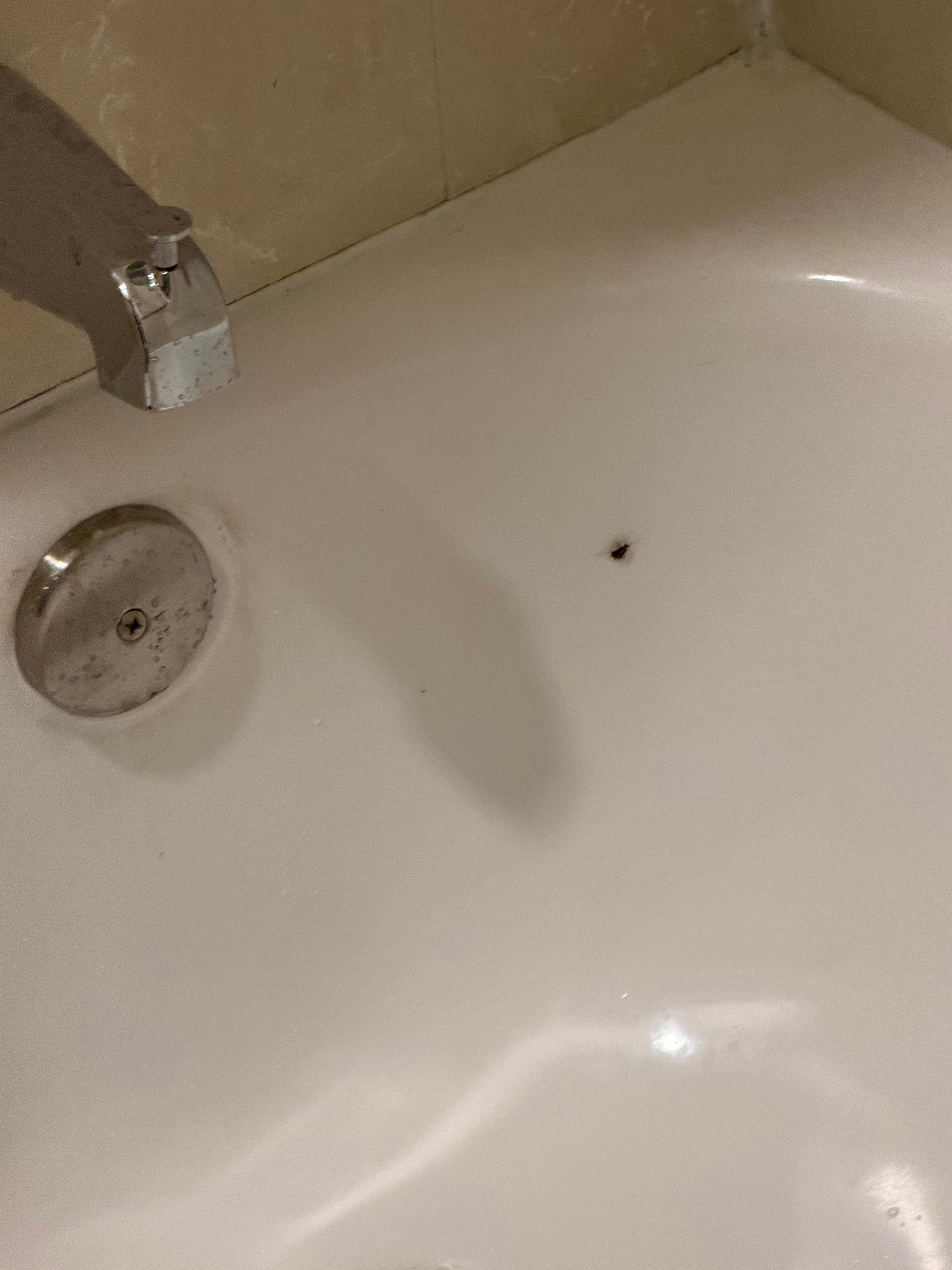 this was inside the tub