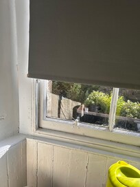 Blind wouldn’t close