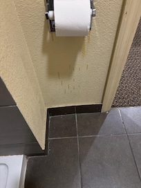 As you sit on the toilet, it looks like either somebody would chew a tobacco throw up or something all over underneath the toilet paper