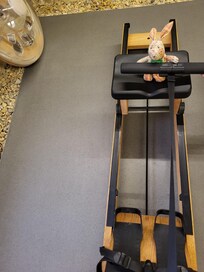 The compact gym: with (soft toy) rabbit model.