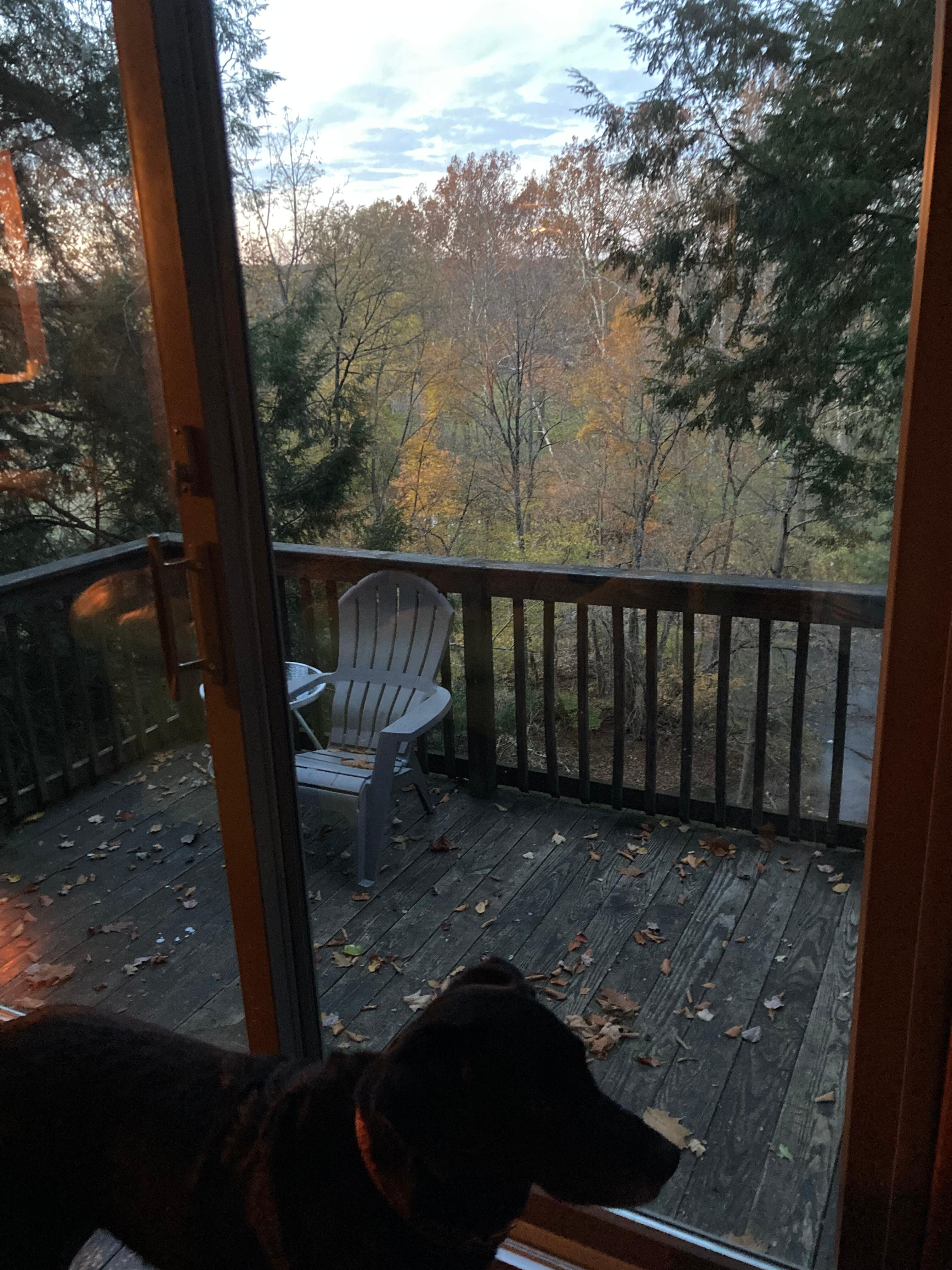 View out the sliding glass door.