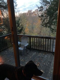 View out the sliding glass door.