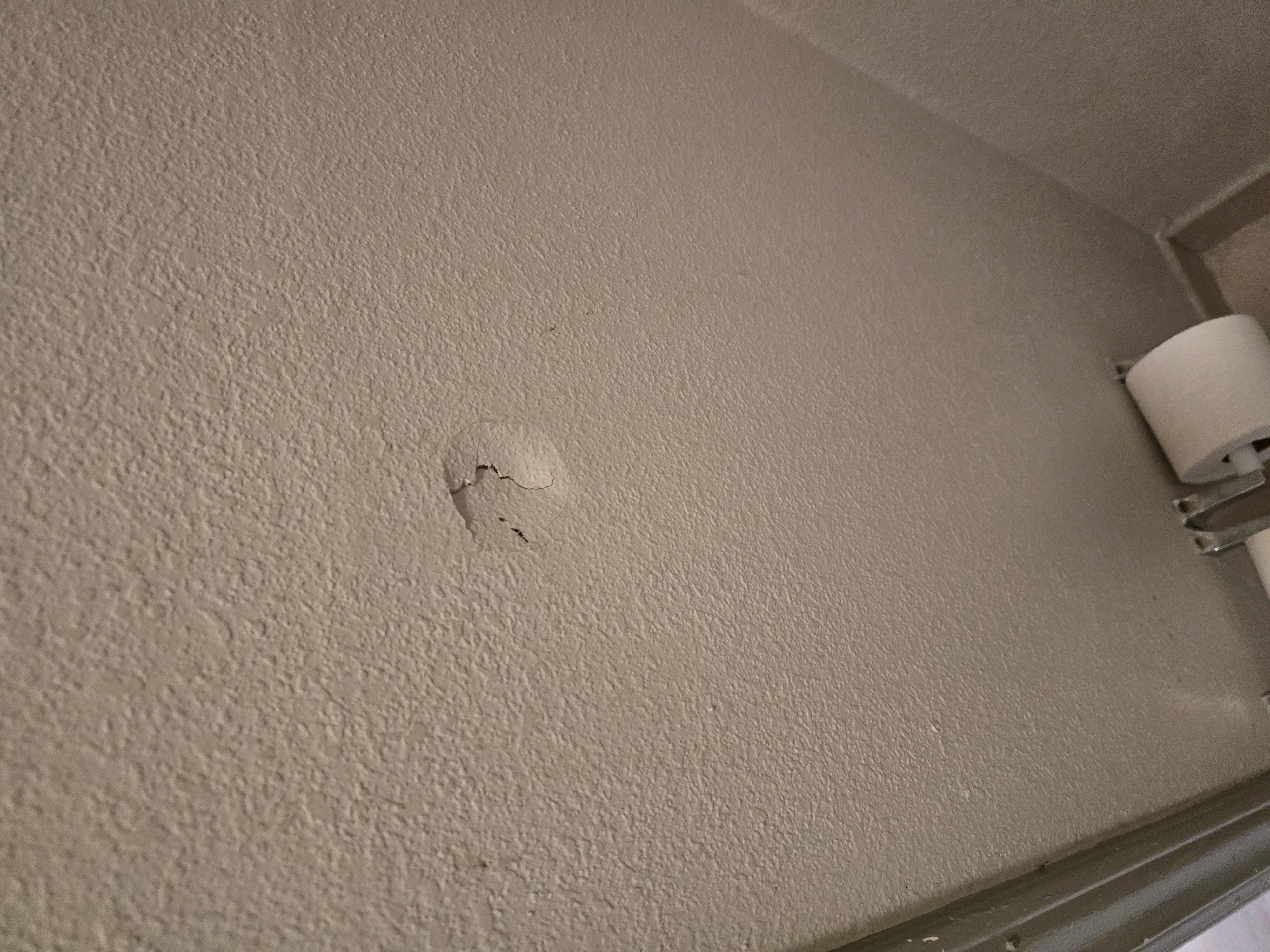 Bathroom wall