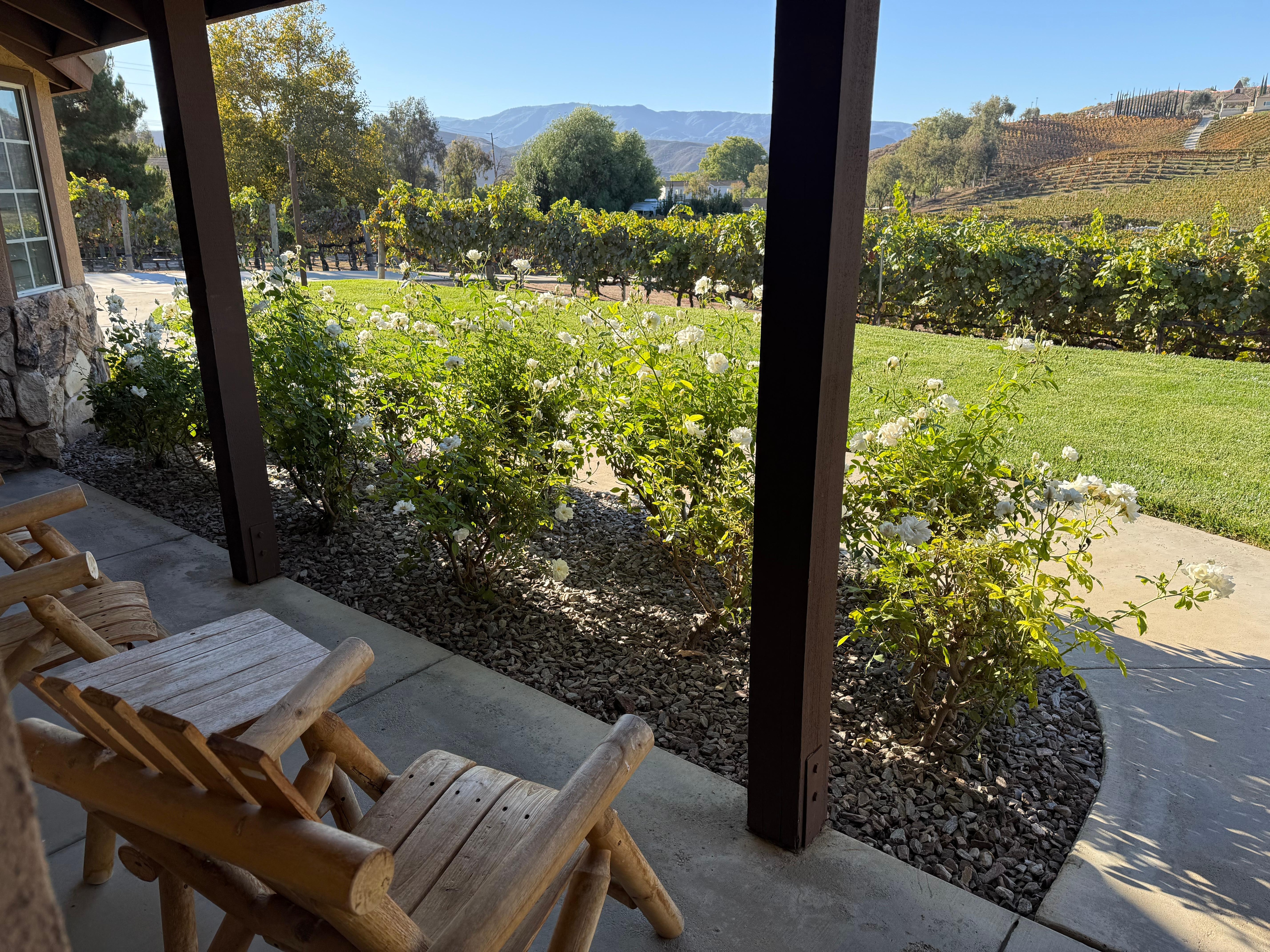 Relaxation at its best