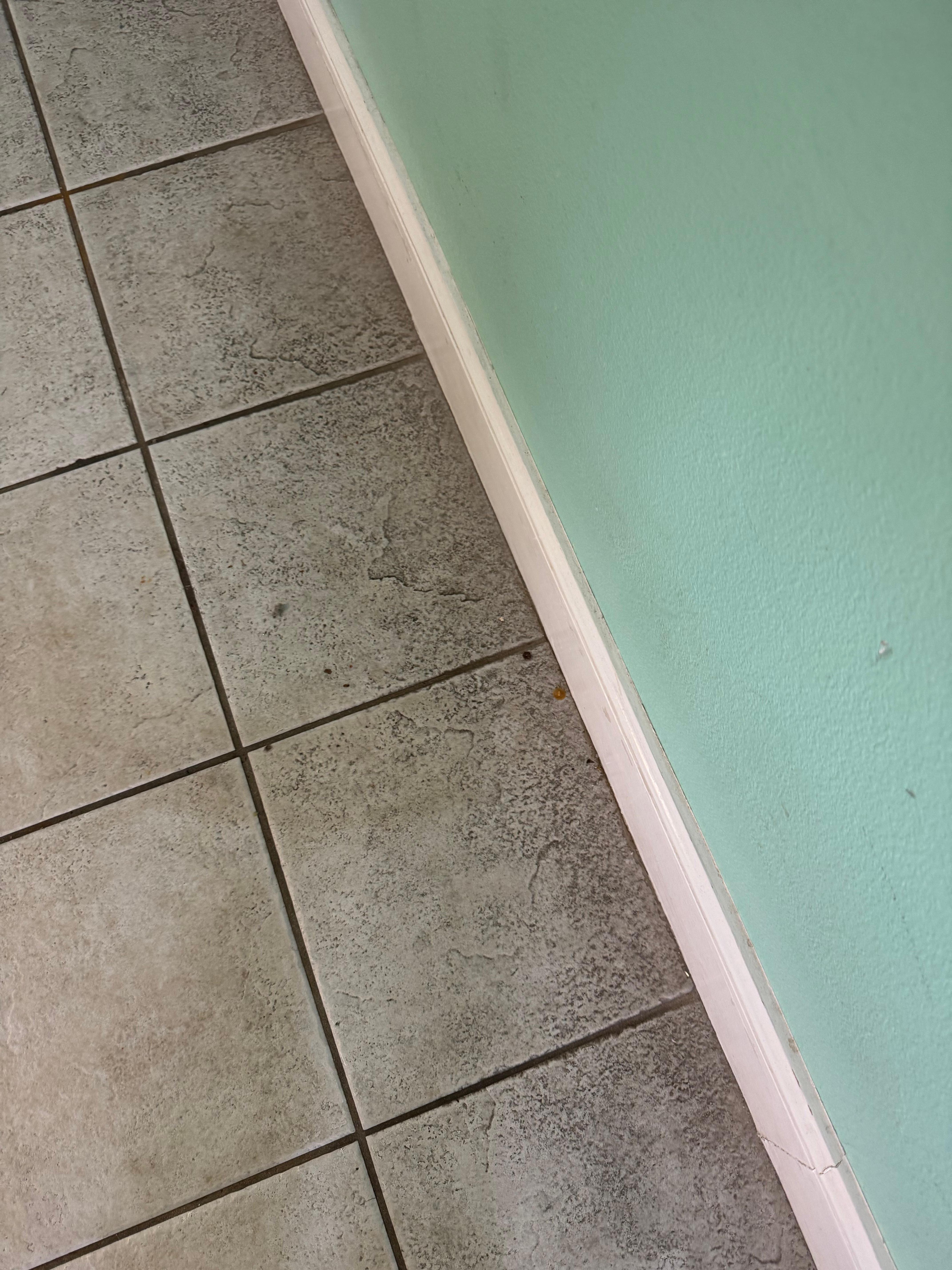 This is just some of the dirt in the floor. The bathroom was awful.