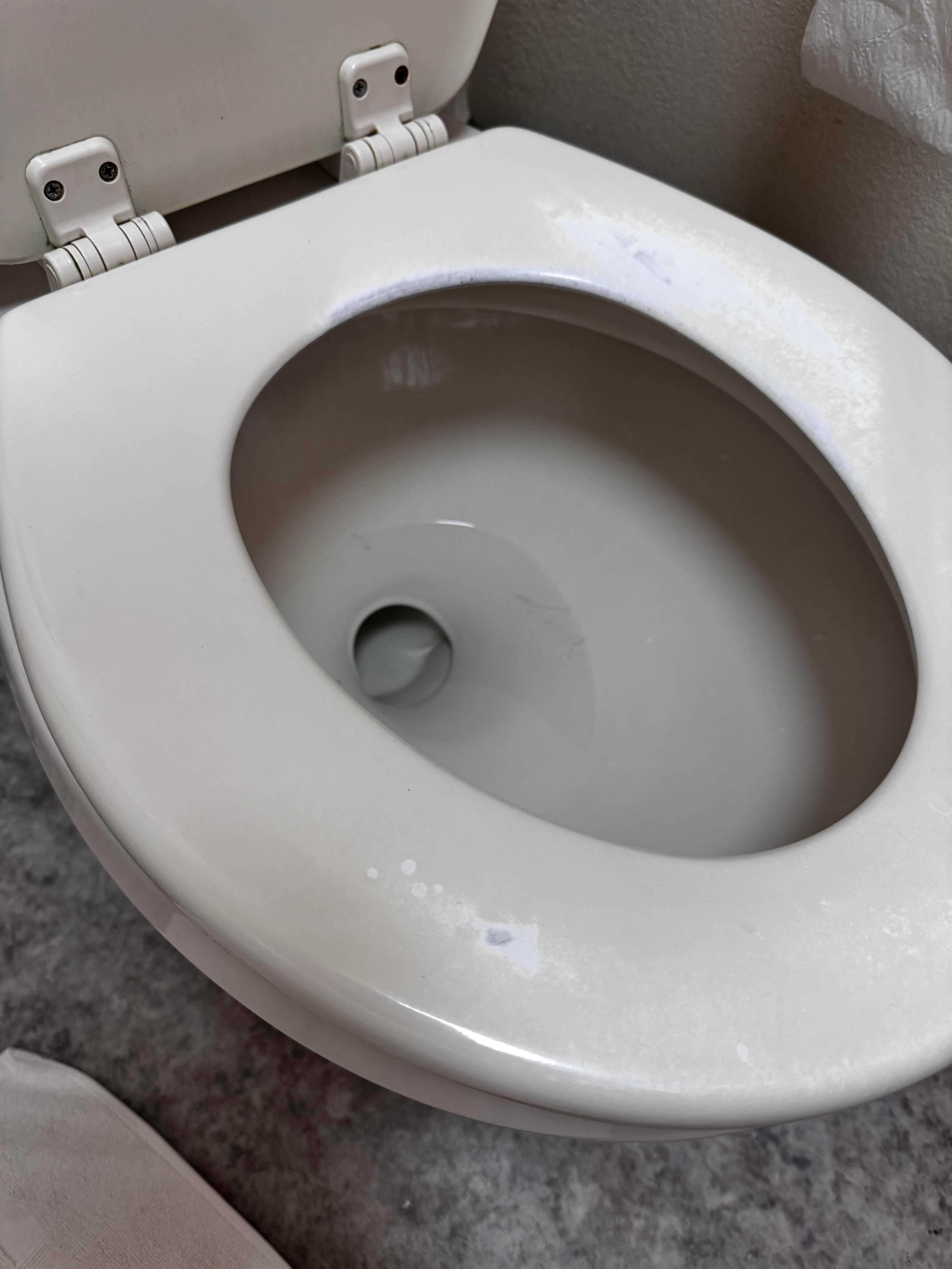 Worn toilet seat 