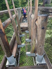 Baumkronenpfad mit Highlight, Bad Wildbad (65km)