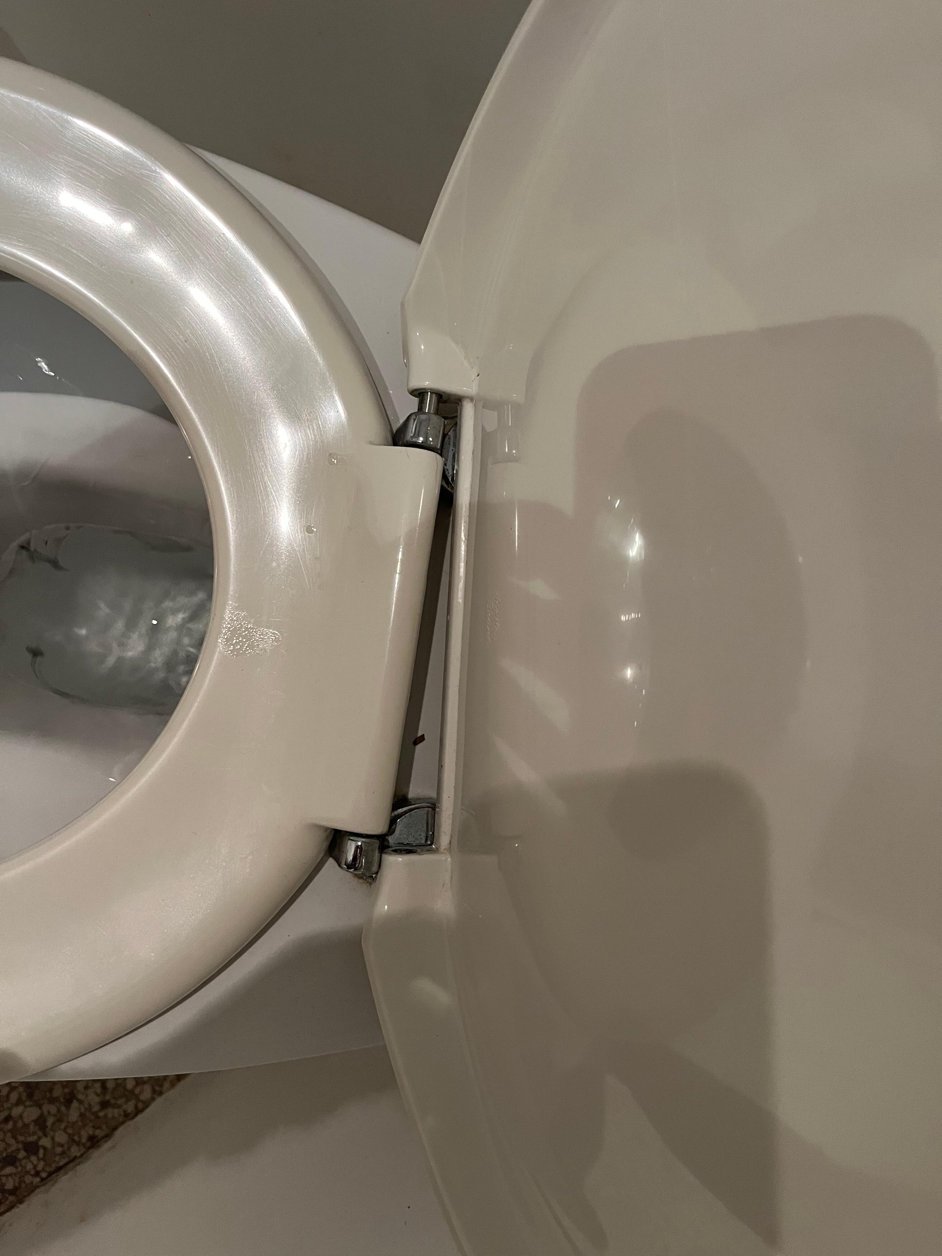 Toilet broken